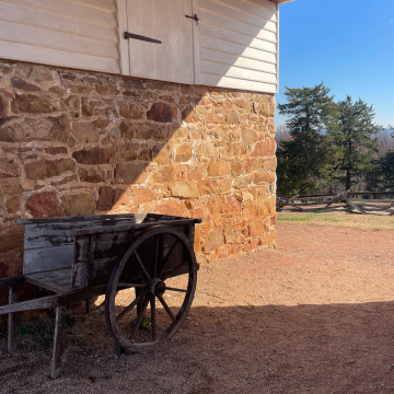 2026-02-IMG_8225251119