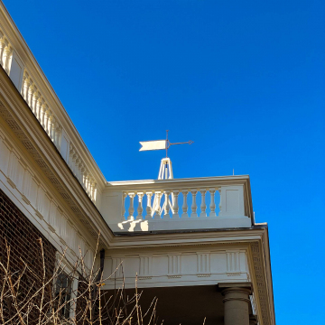 2026-02-IMG_8234251119