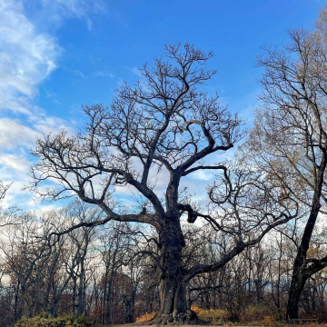 2026-02-IMG_8264251119