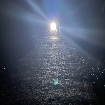 2026-02-IMG_8288251120