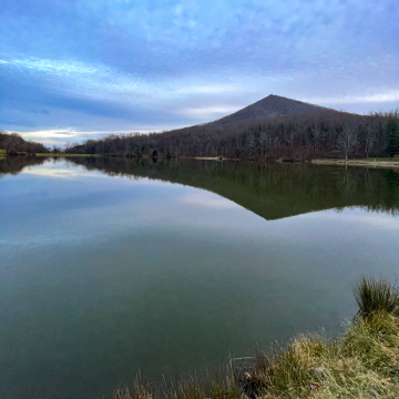 2026-02-IMG_8298251120