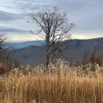 2026-02-IMG_8301251121