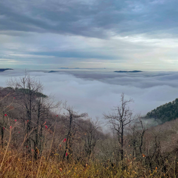 2026-02-IMG_8313251121