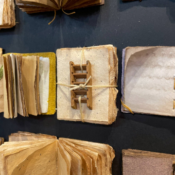 2026-02-IMG_8350251122