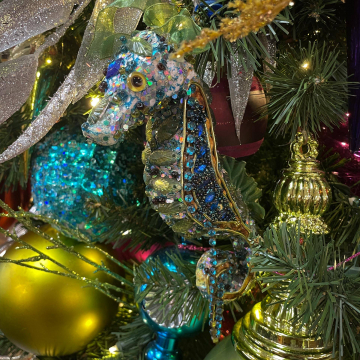 2026-02-IMG_8428251123