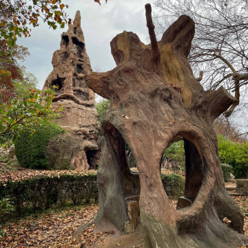 2026-02-IMG_8448251124