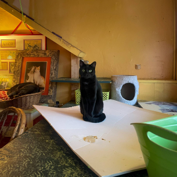 2026-02-IMG_8487251124