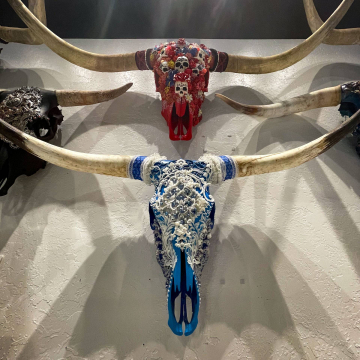 2026-02-IMG_8587251125