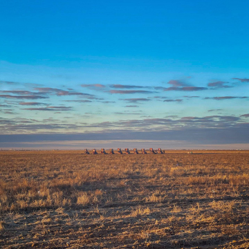 2026-02-IMG_8641251126