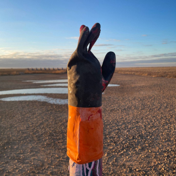 2026-02-IMG_8645251126