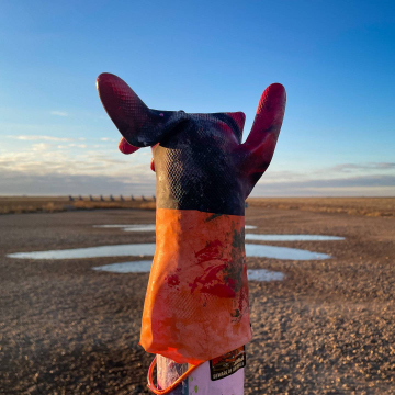 2026-02-IMG_8649251126