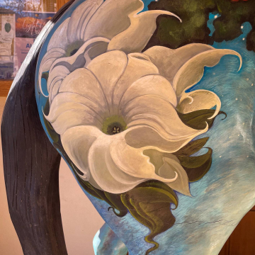 2026-02-IMG_8892251128