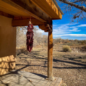 2026-02-IMG_8953251128