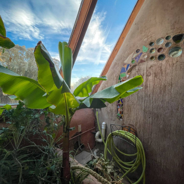 2026-02-IMG_9062251128