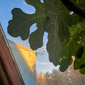 2026-02-IMG_9076251128