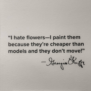 2026-02-IMG_9159251129