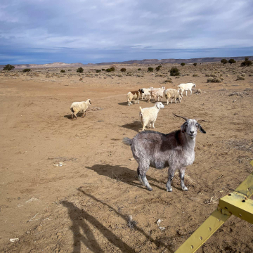 2026-02-IMG_9218251130