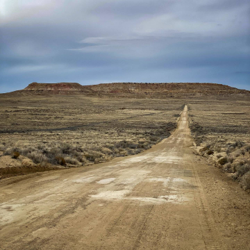 2026-02-IMG_9244251130