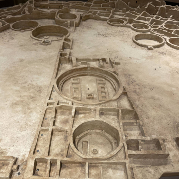 2026-02-IMG_9250251130