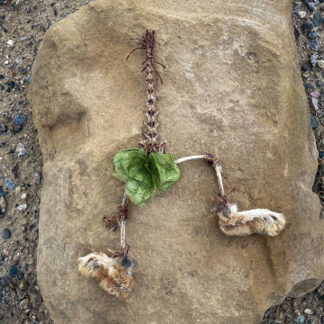 2026-02-IMG_9258251130