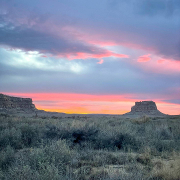 2026-02-IMG_9281251130