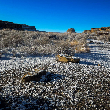 2026-02-IMG_9284251201