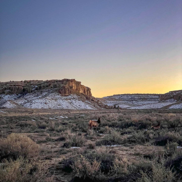 2026-02-IMG_9333251201