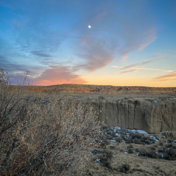 2026-02-IMG_9364251202