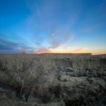 2026-02-IMG_9365251202