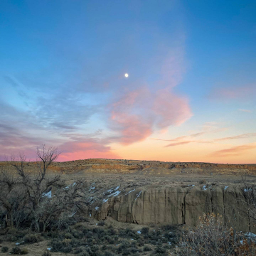 2026-02-IMG_9373251202