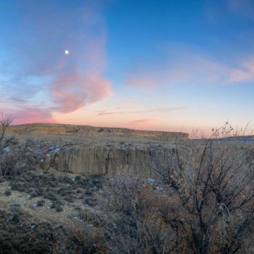 2026-02-IMG_9378251202