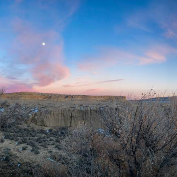 2026-02-IMG_9380251202