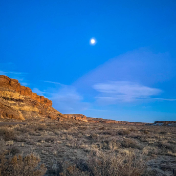 2026-02-IMG_9397251202