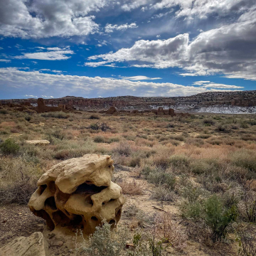 2026-02-IMG_9420251203