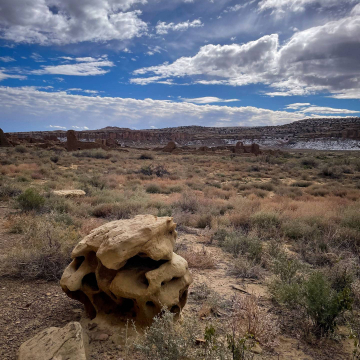 2026-02-IMG_9421251203