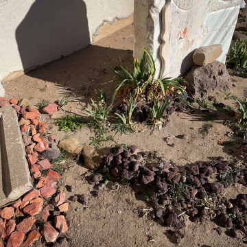 2026-02-IMG_9605251206