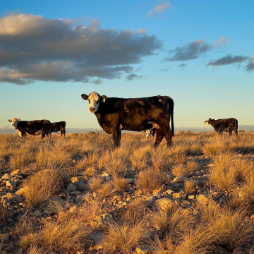 2026-02-IMG_9650251206