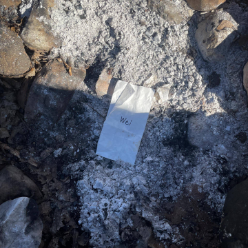 2026-02-IMG_9735251208