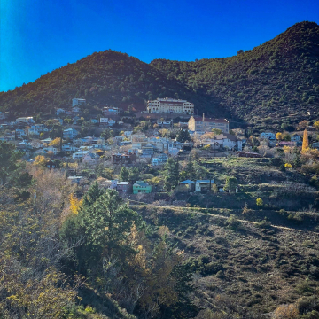 2026-02-IMG_9738251208