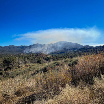 2026-02-IMG_9808251209