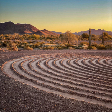 2026-02-IMG_9846251209