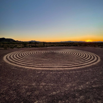 2026-02-IMG_9850251209