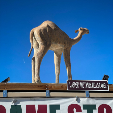 2026-02-IMG_9934251210