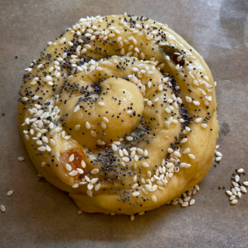 2026-02-IMG_9976251212