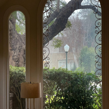 2026-02-IMG_9987251213