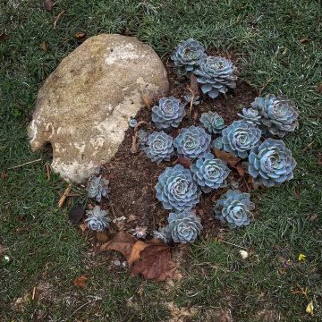 2026-02-IMG_9990251213