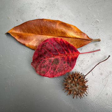 2026-02-IMG_9997251213