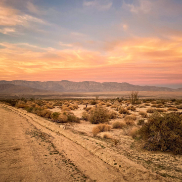 2026-02-IMG_E0453251218