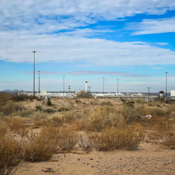 2026-02-IMG_E1058251225