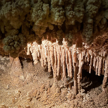 2026-02-IMG_E1167251226